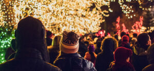 2025 Christmas Events and Activities - Crowds admiring a Christmas light display